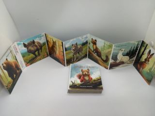 Obrázek z Leporelo zvířátka v lese 8x9cm 
